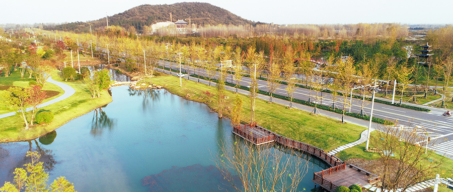 DJI_0130.jpg