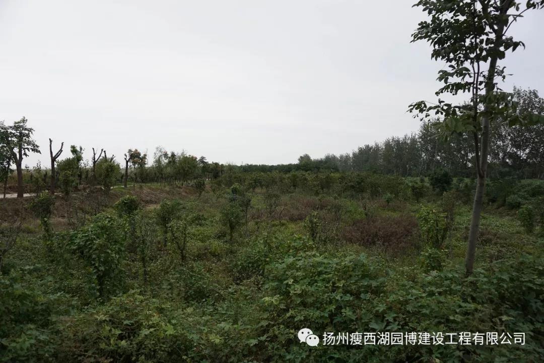微信图片_20180725090841.jpg