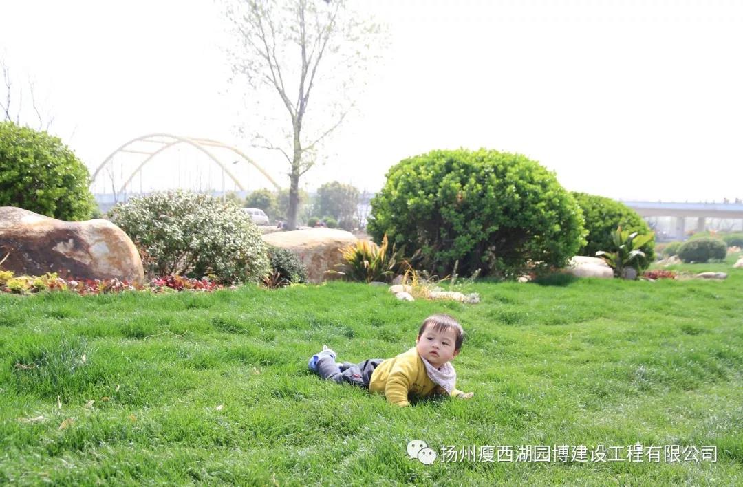 微信图片_20180726130713.jpg
