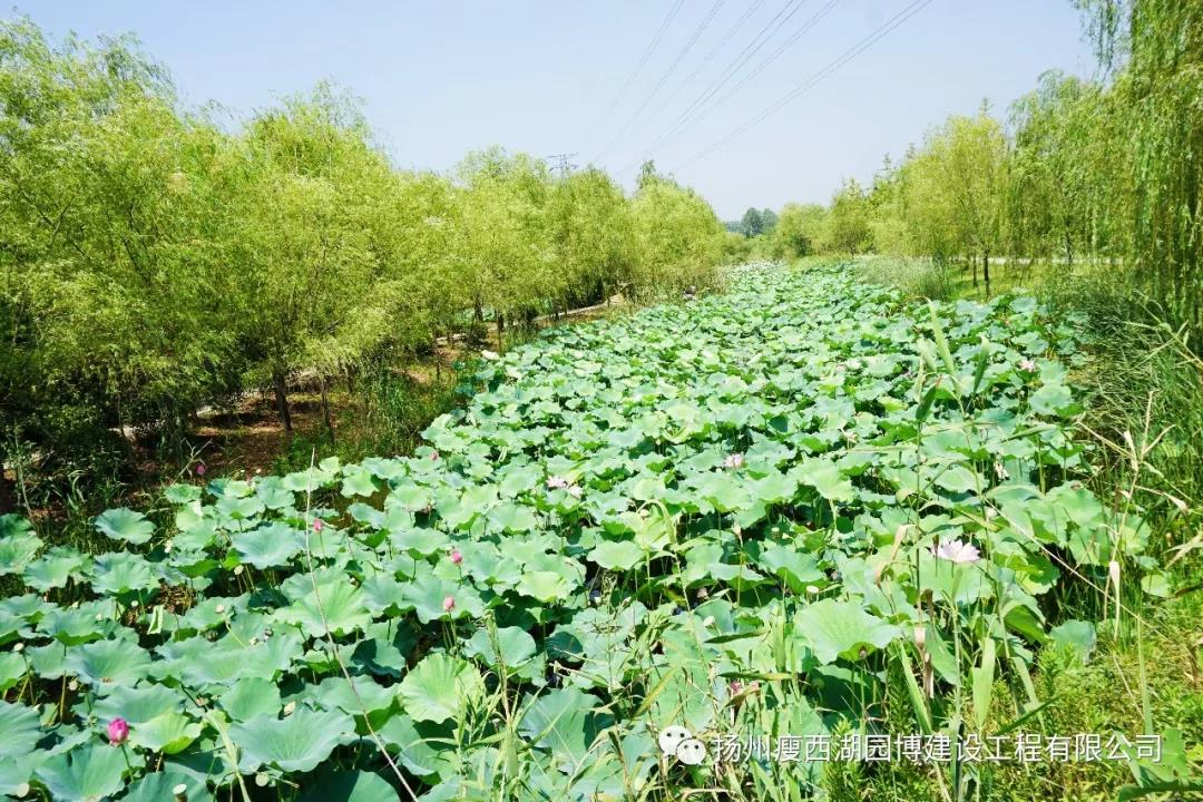 微信图片_20180726111339.jpg